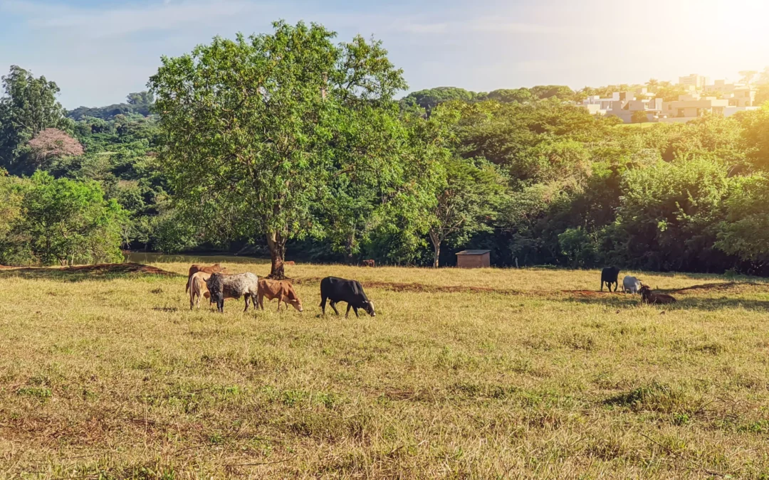 ZAPOBIEGAJ ZAMIAST LECZYĆ – PRZEWAGA PROFILAKTYKI